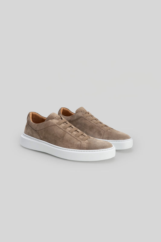Williams Suede Stretch Lace Sneaker